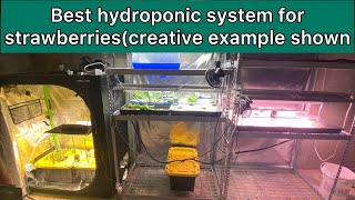 Best hydroponic system for strawberriescreative example shown [upl. by Danna]