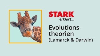 Die Evolutionstheorien von Lamarck und Darwin  STARK erklärt [upl. by Nowtna]