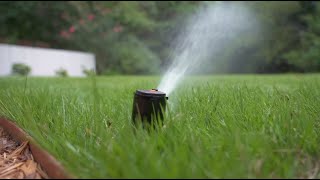 How to Water Your Zoysia Lawn During the Spring Season [upl. by Llaccm]