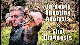 How to Aim a Slingshot  PRO TIPS [upl. by Znarf213]