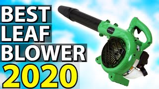 Best Leaf Blower 2022  Top 5 Leaf Blowers [upl. by Glass252]