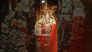 ALAGENDRA SOLLUKKU MURUGA🦚💚song devote devotional god status muruganGoddessworld [upl. by Nogem]