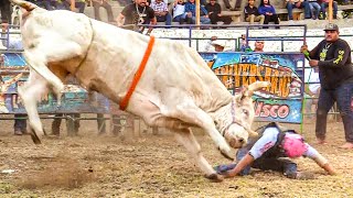 POCOS JINETES SE ATREVEN A MONTAR A LA GRAN MURALLA  Rancho El Farallón en San Marcos Jalisco [upl. by Nagem172]