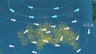 Pt 1 quotPlastic in the Oceanquot Interview with Capt Charles Moore [upl. by Aimet823]