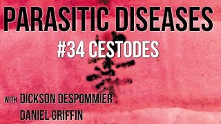 Parasitic Diseases Lectures 34 Cestodes [upl. by Placidia]