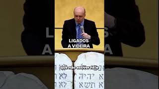 📌A VIDEIRA VERDADEIRA É JESUS‼️short desenvolvimentopessoal fy fe [upl. by Novi]