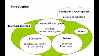 Microbiologie Générale 2019  CM1 [upl. by Erot]