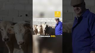 La venganza del campo shorts españa ideologia sabiasque campoespañol DespoblaciónRural Crisis [upl. by Combe]