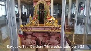 Dayodaya Tirth Darshan Tilwara Ghat Jabalpur Darshan [upl. by Amik]