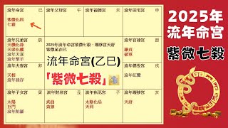 2025蛇年運勢｜乙巳年｜紫微七殺  2025流年運勢  2025乙巳年 [upl. by Neerehs]