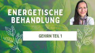 Das Gehirn Teil 1 energetisch behandeln [upl. by Feola]