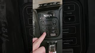 Ninja Air Fryer Review Can This 4in1 Kitchen Gadget Really Replace Your Oven [upl. by Deana]