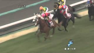 2012年 阪神大賞典 オルフェーヴル激走 [upl. by Soll]