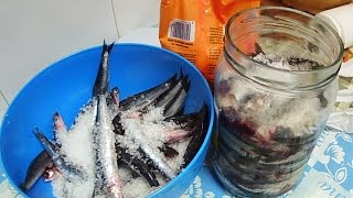 como hacer anchoas en salazon caseras [upl. by Naahs]