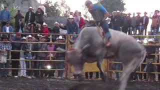 Jaripeo La Candelaria en Michoacan [upl. by Suoivatram822]