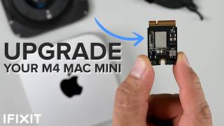 M4 Mac mini Teardown  UPGRADABLE Storage Powerful and TINY [upl. by Ahsauqal762]