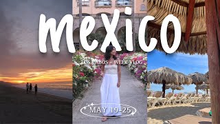 los cabos mexico vlog [upl. by Vladimir]