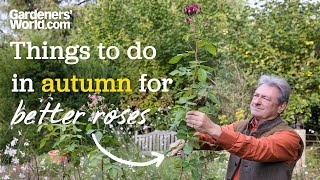 Autumn jobs for BETTER ROSES  Alans advice for things you should do for healthier roses [upl. by Nahtanha]