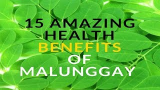 15 Amazing Health Benefits of Moringa  Malunggay [upl. by Jemimah229]