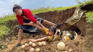 Horrified to discover a giant python monster attacking chicken  miraculous rescue in mountain VN [upl. by Nnaitsirk]