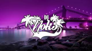 DJ NOKS X DESPACITO mashup 2o17  potyy requeste [upl. by Nnaeirrac]