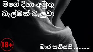 එයා හෝල් එකේ දුන්න සැප  Aluth wal katha  Rasa Katha  1 කොටස [upl. by Brunella]