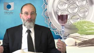 Pesach passover from a Jewish Perspective [upl. by Heisel]