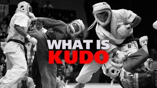 Kudo Karate  The Ultimate Martial Art  Daido Juku Karate [upl. by Longawa]