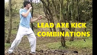 LEAD AXE KICK COMBOS [upl. by Ivets]