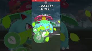 【ポケモンGO】今のGBL１周回ってシャドウウツボット刺さりまくってる説【GBL】shorts ポケモンgo gbl ポケモン スーパーリーグ [upl. by Krawczyk755]