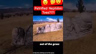 Nephilim Toes Discovered On Accident [upl. by Ora]