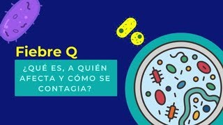 Asturias en alerta por dos brotes de “fiebre Q” qué es a quién afecta y cómo se contagia [upl. by Dayna]