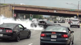 EPIC Burnout Shelby GT500 Super Snake  Diesel Truck Pulled Over  Sick Burnout Mustang Cobra [upl. by Saltzman819]