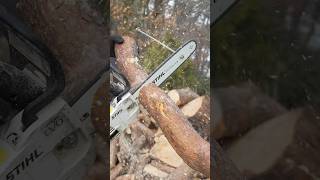 Stihl Chainsaw🔥🪓🪓 logging firewood logsplitter [upl. by Oicnanev260]