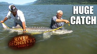 Caught A 9ft Sturgeon Fish  River Monsters [upl. by Older64]