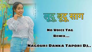 New Nagpuri Song2024 Ludu Budu Sag New Nagpuri Dj Song No Voice Tag Remix Danka Tapori Mix [upl. by Nnylireg625]