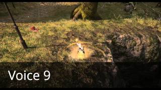 FFXIVARR Combat Voices  Female Hyur Midlander 610 [upl. by Gnoz]