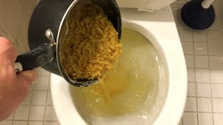 Will it Flush  Macaroni amp Cheese [upl. by Serafina]