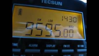 Weak UNID on 9595 kHz Radio Nikkei presumed [upl. by Socrates]