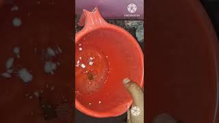 raasi tips home cleaning tips harpic tips tamileasyhometips kitchentip usefulltipsmoneysavingtip [upl. by Nisotawulo362]