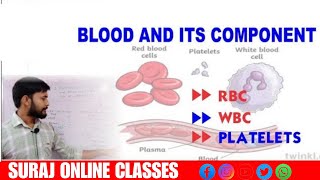 Blood and Its Component ll Function of Blood ll RBC ll WBC ll Blood Platelets ll What is Blood ll [upl. by Ferrigno993]