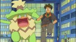 finally Brock Lombre evolved into Ludicolo pokemon season 14 [upl. by Chrissie825]