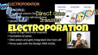 Electroporation  Direct DNA Transfer  Genetic Engineering  English ThiNK VISION  tnkumaresan [upl. by Eppesiug]