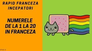 Franceza pentru incepatori2018  Numere in franceza de la 1 la 20 [upl. by Halladba]