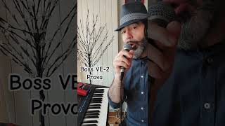 Boss VE2 vocal harmonist  prova [upl. by Ogaitnas]