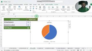 GRAFICAS CIRCULARES EN EXCEL [upl. by Aihppa]