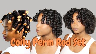 Perfect Coily Stretched Perm Rod Set  Detailed Heatless Curls on Type 34 Natural Hair [upl. by Bernarr]