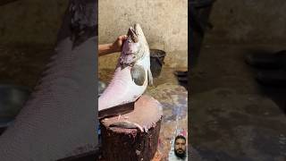 Amazing Hamour Fish Cutting Skills In Bangladesh Fish Market By Expert Cutter shorts [upl. by Tulley]