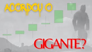 ACORDOU O GIGANTE ibovespa [upl. by Sudhir]