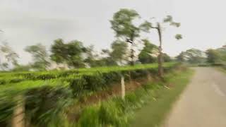 Silchar Airport Road Assam tea Garden [upl. by My]